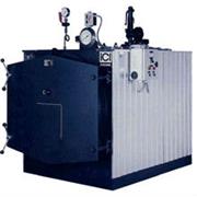 ICI Caldaie OPX REC Thermal Oil Generator
